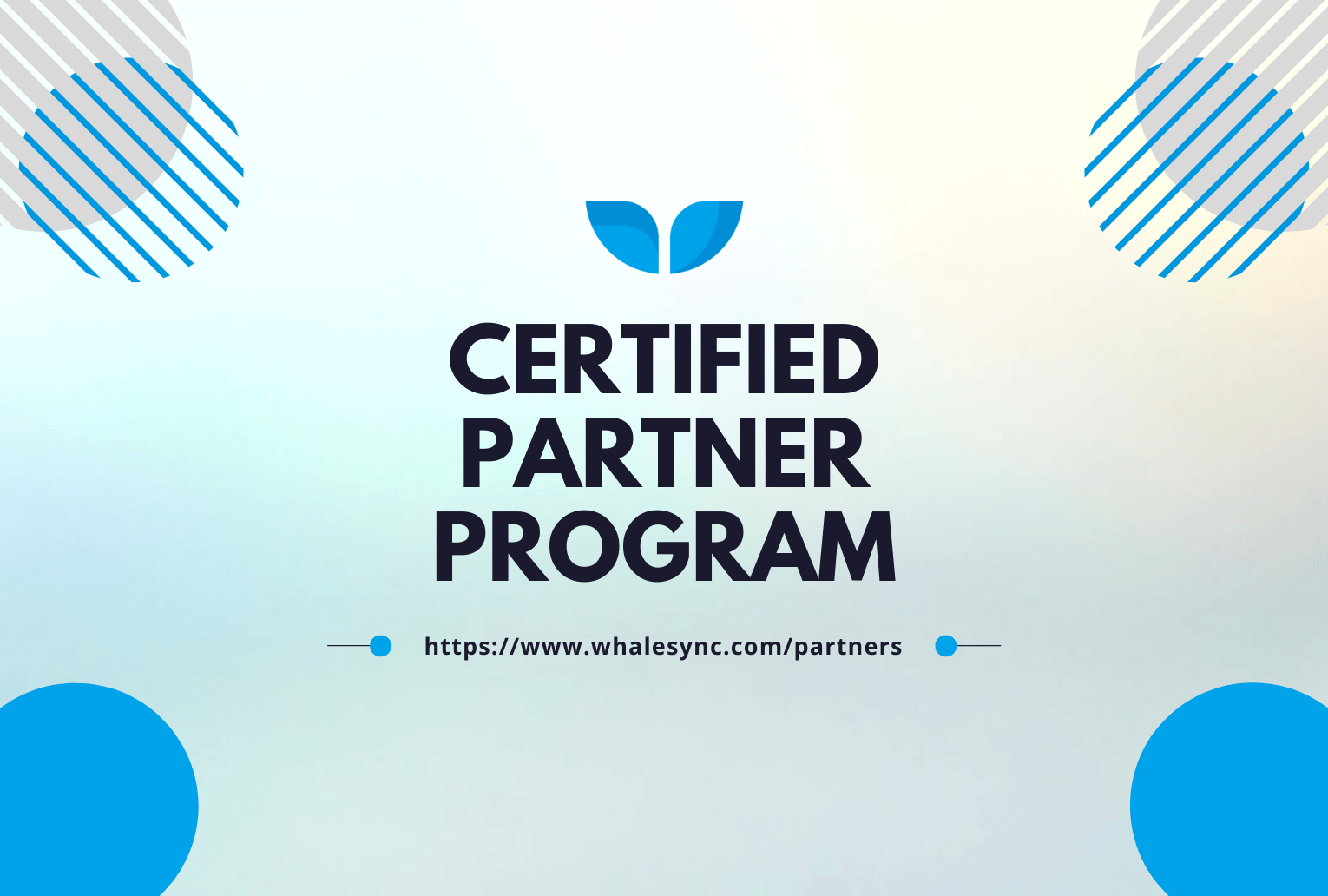 Title card reading 'Certified Partner Program' with the Whalesync logo